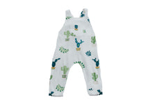 Load image into Gallery viewer, Nash Cactus Overall