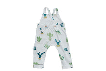 Load image into Gallery viewer, Nash Cactus Overall